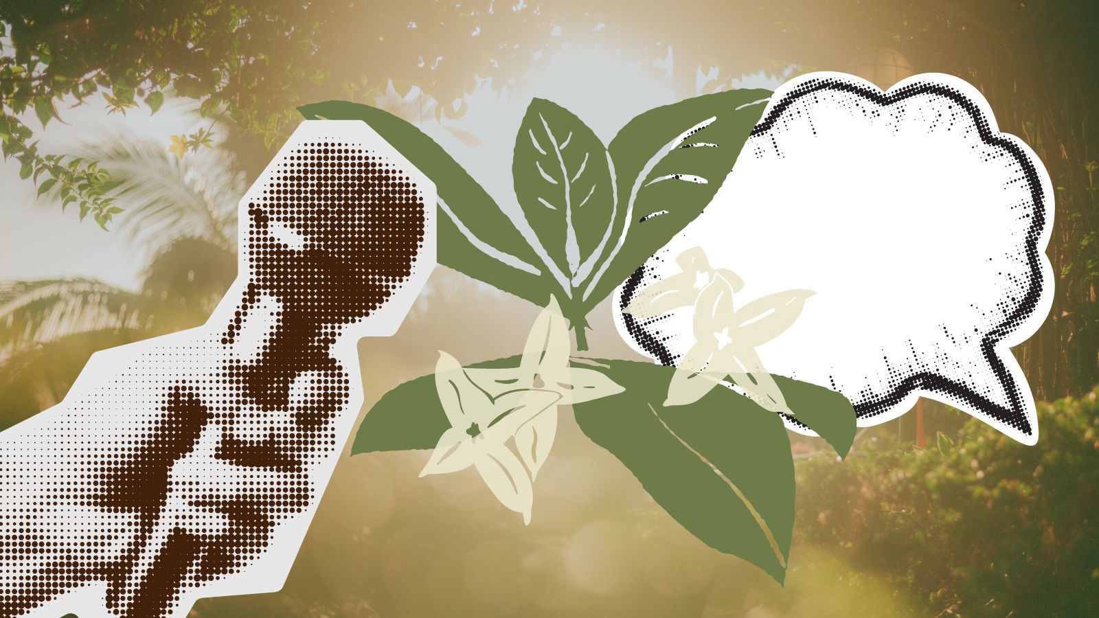 What SG and Australia consumers want from sustainability comms
